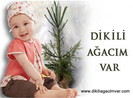 dikili agacim var3